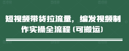 短视频带货拉流量，编发视频制作实操全流程(可搬运)-天星云网创