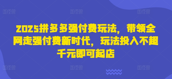 2025拼多多强付费玩法，带领全网走强付费新时代，玩法投入不超千元即可起店-天星云网创