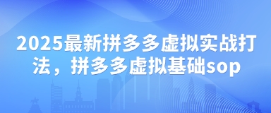 2025最新拼多多虚拟实战打法，拼多多虚拟基础sop-天星云网创