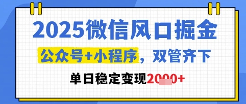 2025微信风口掘金，公众号+小程序双管齐下，单日稳定变现1k+【揭秘】-天星云网创