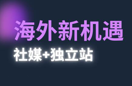 棕榈·2025出海新机遇(社媒+独立站)-天星云网创