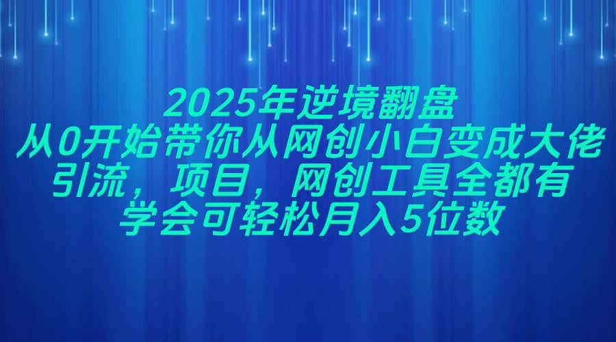 2025年逆境翻盘，从0开始带你从网创小白变成大佬，引流，项目，网创工…-天星云网创