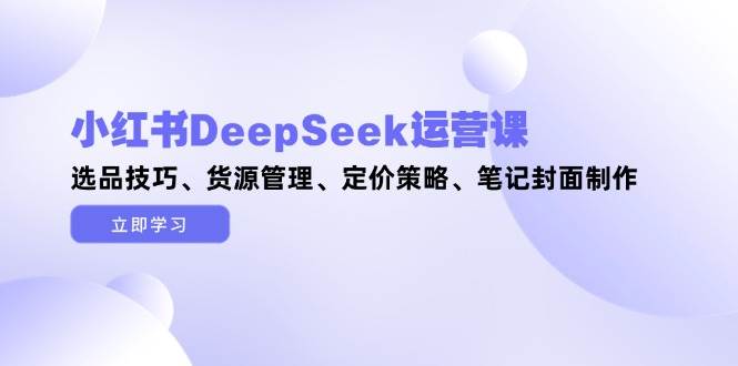 小红书DeepSeek运营课，选品技巧、货源管理、定价策略、笔记封面制作-天星云网创