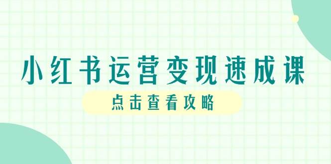 小红书运营变现速成课，账号搭建到暴力起号，个人IP全流程指南-天星云网创