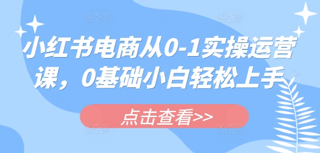 小红书电商从0-1实操运营课，0基础小白轻松上手-天星云网创