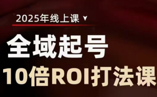 2025全域起号10倍ROI打法课，助你提升直播间的投资回报率-天星云网创