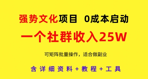 强势文化项目，一个社群收入25个W，0成本启动，可矩阵批量操作，原创详细实操教程-天星云网创