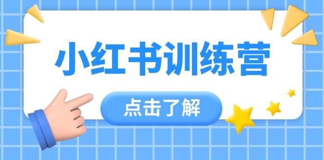 小红书训练营，助小白入门，掌握技巧变达人，课程实操又全面(12节课)-天星云网创