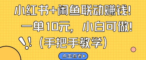 小红书+闲鱼联动挣钱，一单10元，小白可做-天星云网创