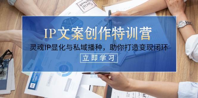 IP文案创作特训营，灵魂IP显化与私域播种，助你打造变现闭环(14节课)-天星云网创