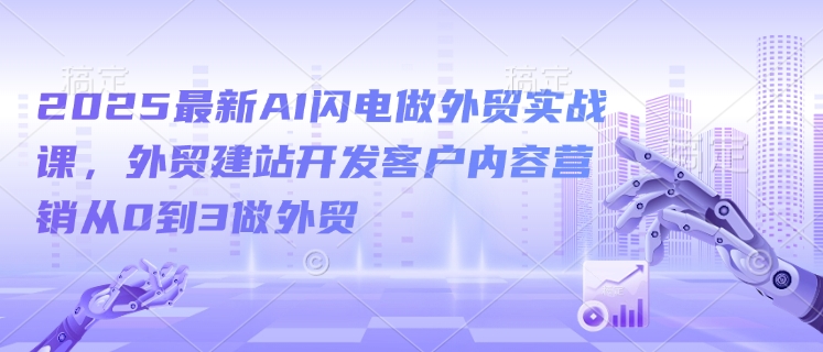 2025最新AI闪电做外贸实战课，外贸建站开发客户内容营销从0到3做外贸-天星云网创