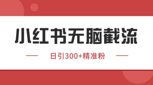 小红书只要你有同行就能获客，独家野路子获客玩法，暴力截流【揭秘】-天星云网创