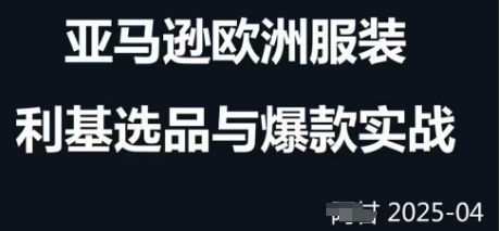 跨境电商选品案例24-25年，聚焦跨境电商选品策略与运营优化，助力卖家挖掘蓝海市场-天星云网创