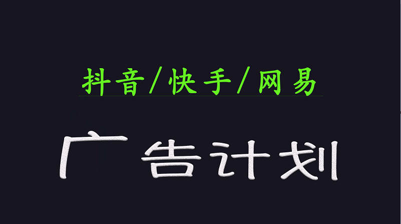 2025短视频平台运营与变现广告计划日入1000+，小白轻松上手-天星云网创