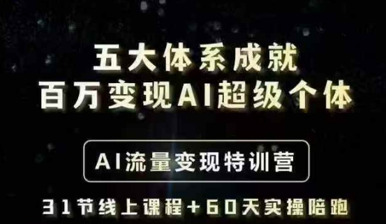 五大体系成就百万变现AI超级个体- AI流量变现特训营，一步一步教你一个人怎么年入百W-天星云网创