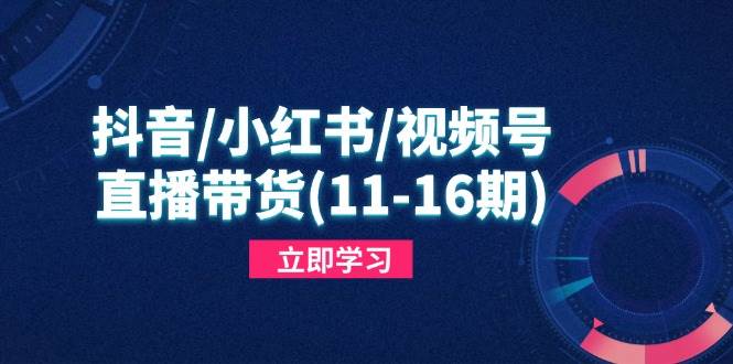 抖音/小红书/视频号/直播带货(11-16期-天星云网创