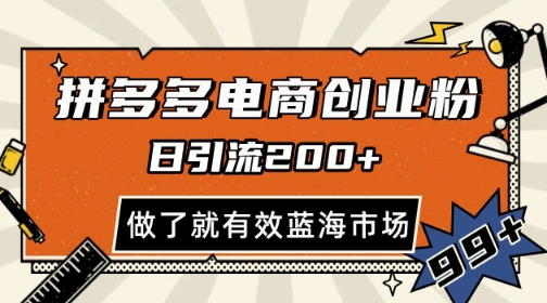 拼多多引流电商创业粉，日引200+，可矩阵放大，做了就有效【揭秘】-天星云网创