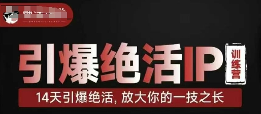 引爆绝活IP训练营，14天引爆绝活，放大你的一技之长-天星云网创