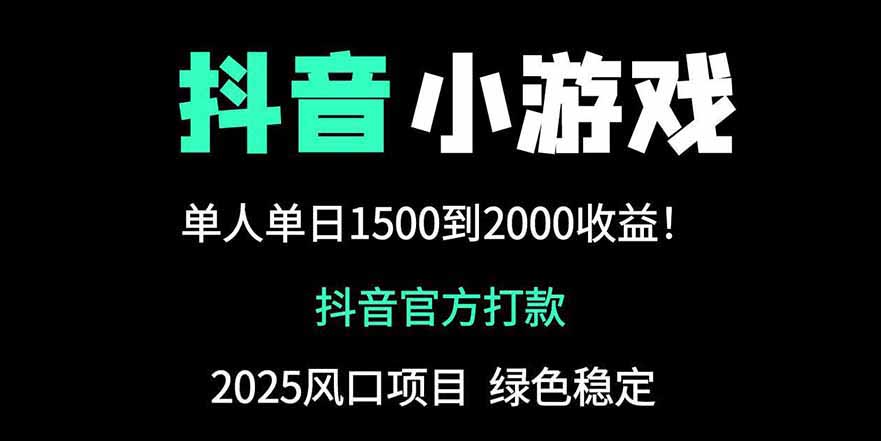 抖音官方小游戏2025全网最新玩法，暴利赚钱项目，单机日入2000+-天星云网创