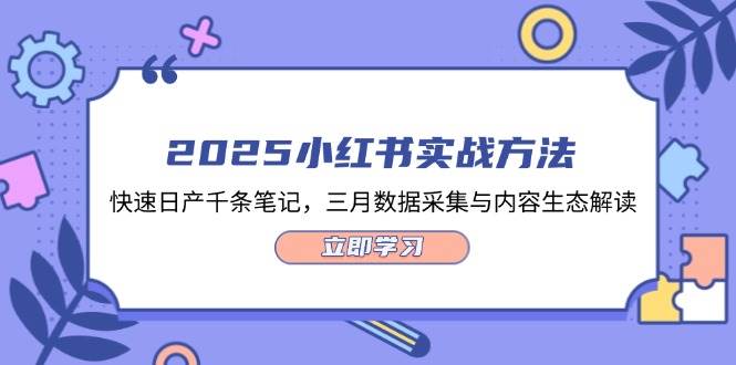 2025小红书实战方法，快速日产千条笔记，三月数据采集与内容生态解读-天星云网创