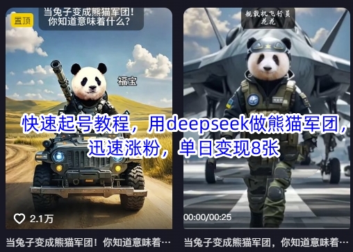 快速起号教程，用deepseek做熊猫军团，迅速涨粉，单日变现8张-天星云网创