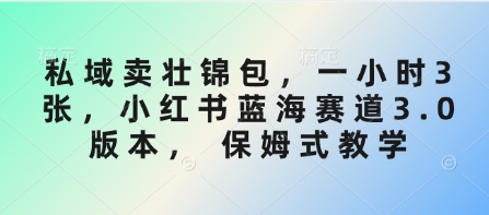 私域卖壮锦包，一小时3张，小红书蓝海赛道3.0版本， 保姆式教学-天星云网创