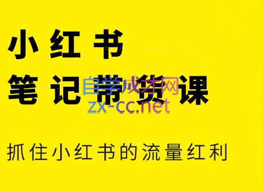 张宾·小红书笔记带货课(更新5月)-天星云网创