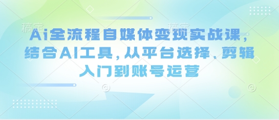Ai全流程自媒体变现实战课，结合AI工具，从平台选择、剪辑入门到账号运营-天星云网创