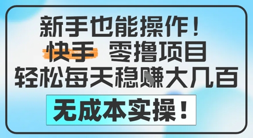 新手也能操作，快手零撸挣米，轻松每天挣2-5张，完全无成本-天星云网创
