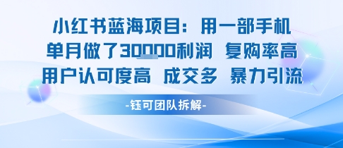 小红书蓝海项目，一部手机单月做了3W利润，小白也能月入过1W用户认可度高成交多-天星云网创