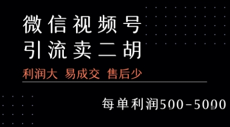 视频号卖二胡教程，利润大 易成交 售后少，一单利润5张+-天星云网创