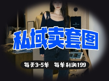 私域卖套图每天3-5单，每单利润99-天星云网创
