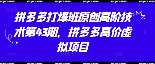 拼多多打爆班原创高阶技术第43期，拼多多高价虚拟项目-天星云网创