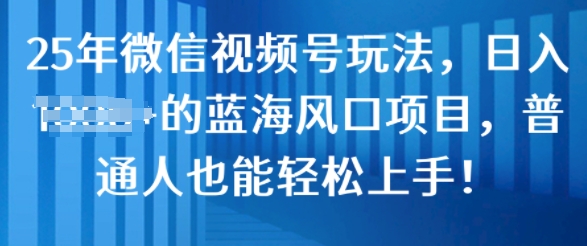 25年微信视频号玩法，日入几张的蓝海风口项目，普通人也能轻松上手!-天星云网创