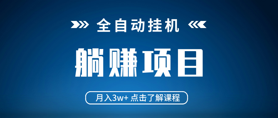 全自动挂机项目 月入3w+ 真正躺平项目 不吃电脑配置 当天见收益-天星云网创