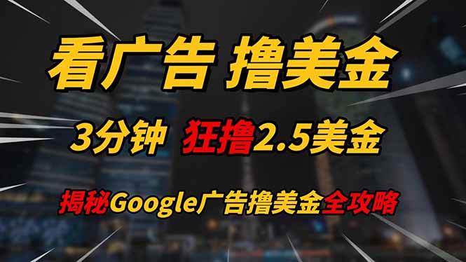 看广告，撸美金！！3分钟赚2.5美金！！日入200美金不是梦！揭秘Google…-天星云网创