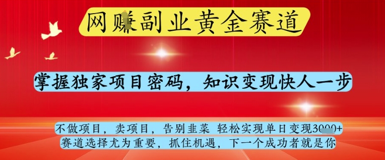 网创副业黄全赛道，掌握独家项目密码，知识变现快人一步，告别韭菜轻松实现单日变现1k+【揭秘】-天星云网创