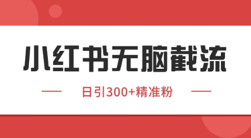 小红书截流同行客源，独家野路子获客玩法 日引200+暴力获客【揭秘】-天星云网创