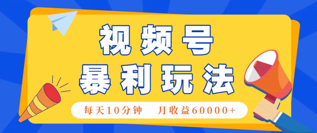 视频号AI赚钱法，每天只需10分钟，月入6万+！(超详细拆解)-天星云网创
