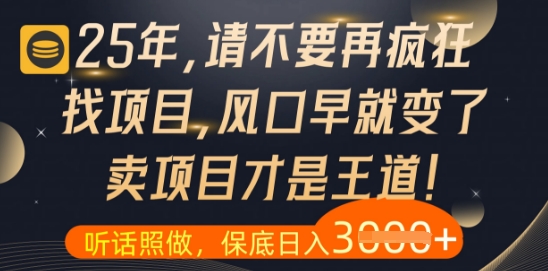 什么？25年你还在疯狂找项目做，醒醒吧，看完这些你全都懂了【揭秘】-天星云网创