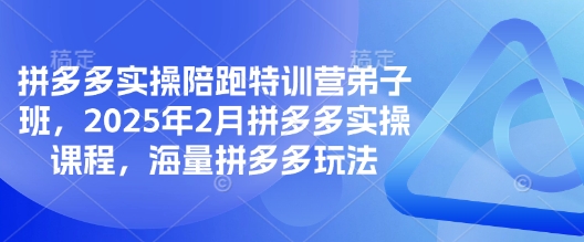 拼多多实操陪跑特训营弟子班，2025年2月拼多多实操课程，海量拼多多玩法-天星云网创