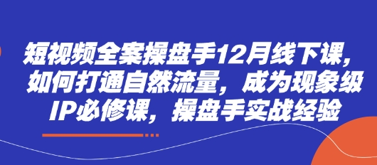 短视频全案操盘手12月线下课，如何打通自然流量，成为现象级IP必修课，操盘手实战经验-天星云网创