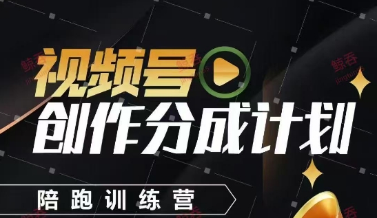 视频号创作分成计划陪跑训练营，手把手教会你如何制作视频，细水长流型项目-天星云网创
