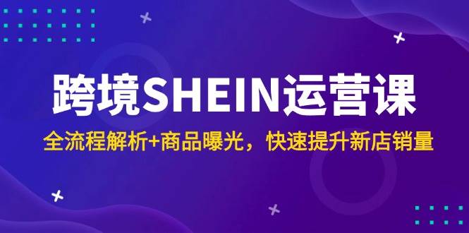 跨境SHEIN运营课，全流程解析+商品曝光，快速提升新店销量-天星云网创