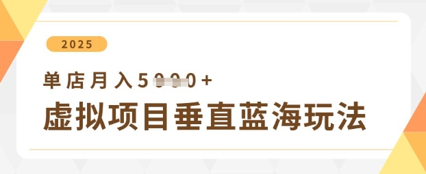 虚拟项目垂直玩法，实现单店月入5k+-天星云网创