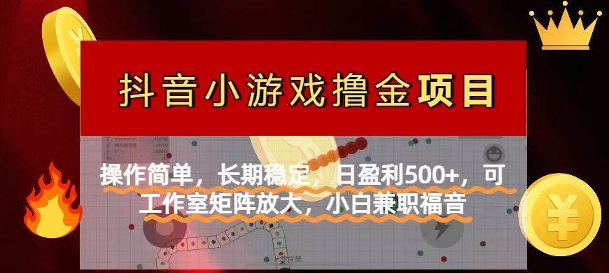【抖音小游戏发行人计划项目】操作简单，长期稳定，日盈利500+，可工作…-天星云网创
