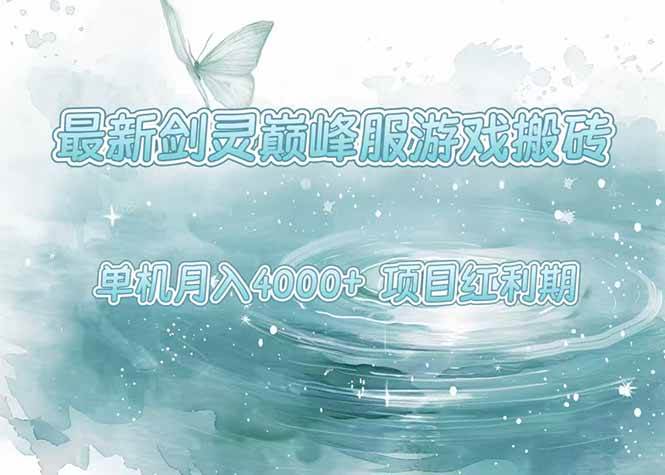 最新剑灵巅峰服游戏搬砖，项目红利期，单机稳定4000+操作简单好上手-天星云网创