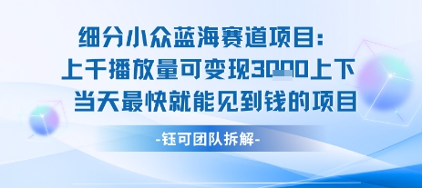 小众蓝海赛道项目：当天变现1k+适合新手操作 +适合长期玩-天星云网创