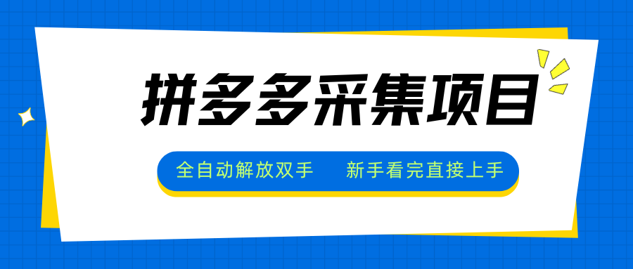 拼多多采集项目，全自动解放双手，单号日入30+-天星云网创