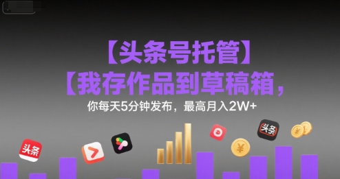 【头条号托管 】我存作品到草稿箱，你每天5分钟发布，最高月入2W+【揭秘】-天星云网创